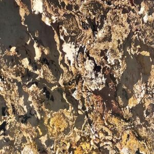 Sprinkled Crust - Image 2