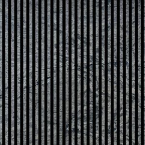 Silver Shine - Image 2